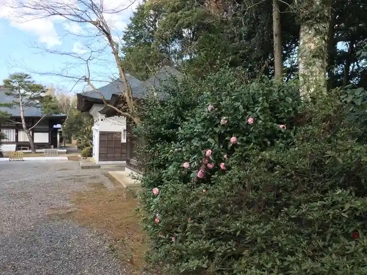 岩田寺の庭園