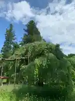 上宮神社(栃木県)