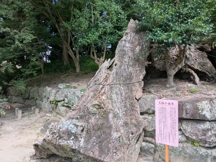 與止日女神社(佐賀県)