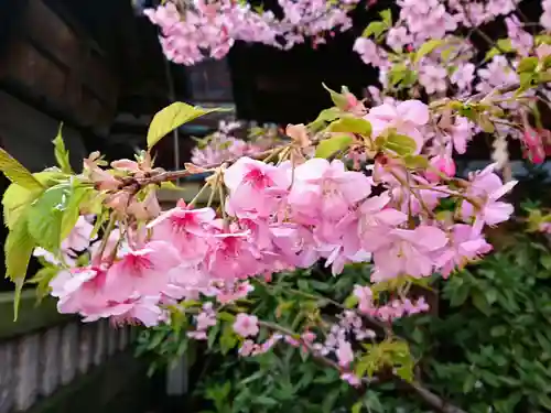 小野照崎神社の自然