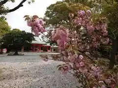 豊藤稲荷神社の自然