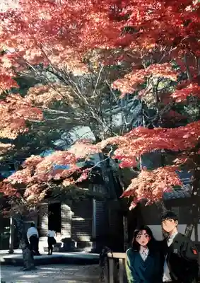 永源寺の本殿・本堂