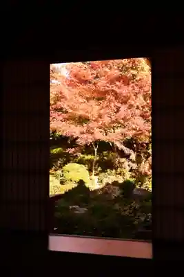 源光庵(京都府)