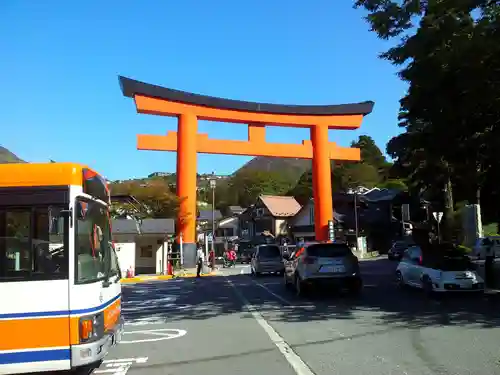 箱根神社の鳥居