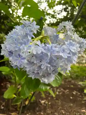 赤城神社(群馬県)