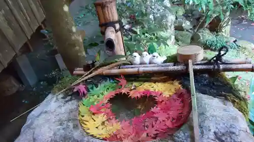 柳谷観音　楊谷寺の手水舎