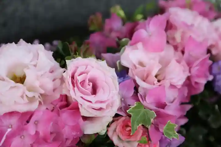 手稲神社(北海道)