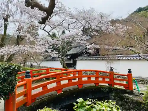 金剛寺(大阪府)
