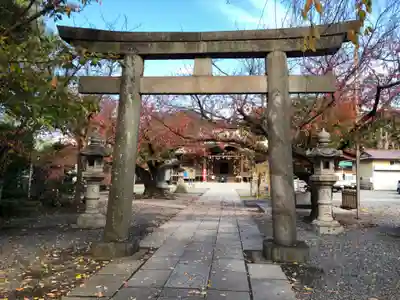日枝神社の鳥居