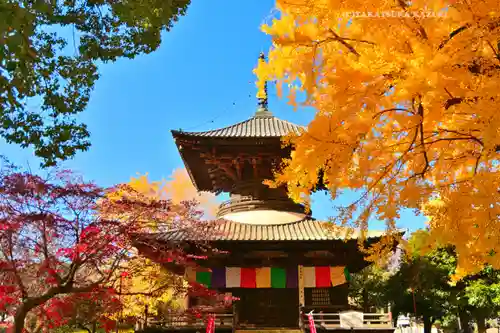 鑁阿寺(栃木県)