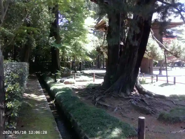 平林寺の{uncategorized: "未分類", other: "その他", undefined: "問題あり", building: "その他建物", grave: "お墓", sacred_gate: "鳥居", guardian: "狛犬", statue: "像", buddha: "仏像", history: "歴史", nature: "自然", garden: "庭園", animal: "動物", pagoda: "塔", temizu: "手水舎", mountain_gate: "山門・神門", sanctuary: "本殿・本堂", subordinate: "末社・摂社", art: "芸術", scenery: "景色", jizo: "地蔵", ema: "絵馬", goshuin: "御朱印", omikuji: "おみくじ", items: "授与品その他", amulet: "お守り", goshuincho: "御朱印帳", eats: "食事", festival: "お祭り", votive_dance: "神楽", shichigosan: "七五三参", wedding: "結婚式", experience: "体験その他", initially: "初詣", around: "周辺", anti_infection: "感染症対策"}