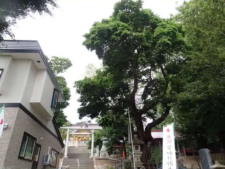 厳島神社のその他建物