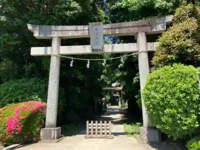 御霊神社の{uncategorized: "未分類", other: "その他", undefined: "問題あり", building: "その他建物", grave: "お墓", sacred_gate: "鳥居", guardian: "狛犬", statue: "像", buddha: "仏像", history: "歴史", nature: "自然", garden: "庭園", animal: "動物", pagoda: "塔", temizu: "手水舎", mountain_gate: "山門・神門", sanctuary: "本殿・本堂", subordinate: "末社・摂社", art: "芸術", scenery: "景色", jizo: "地蔵", ema: "絵馬", goshuin: "御朱印", omikuji: "おみくじ", items: "授与品その他", amulet: "お守り", goshuincho: "御朱印帳", eats: "食事", festival: "お祭り", votive_dance: "神楽", shichigosan: "七五三参", wedding: "結婚式", experience: "体験その他", initially: "初詣", around: "周辺", anti_infection: "感染症対策"}