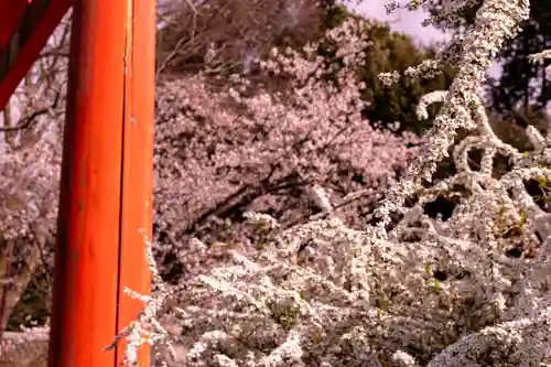 吉田神社(京都府)