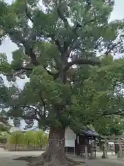 華表神社(大阪府)