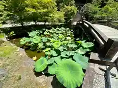 知恩院(京都府)