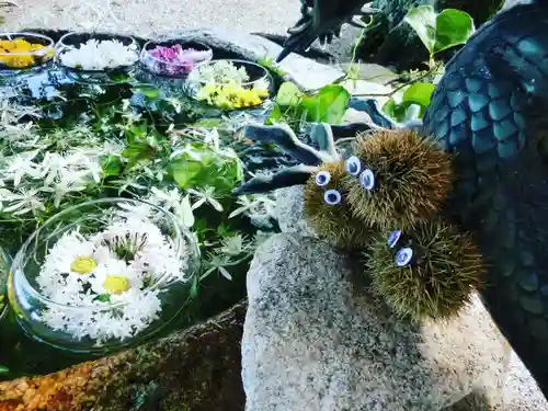 立志神社の手水舎