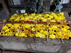 清洲山王宮　日吉神社の手水