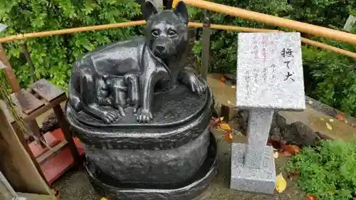 鎮守氷川神社の狛犬