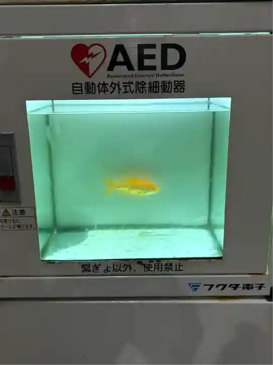 明星来影寺(高知県)