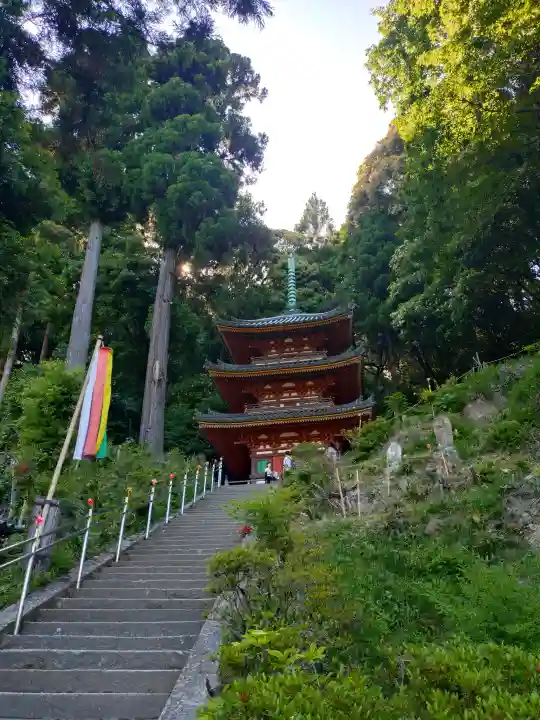 松尾寺の{uncategorized: "未分類", other: "その他", undefined: "問題あり", building: "その他建物", grave: "お墓", sacred_gate: "鳥居", guardian: "狛犬", statue: "像", buddha: "仏像", history: "歴史", nature: "自然", garden: "庭園", animal: "動物", pagoda: "塔", temizu: "手水舎", mountain_gate: "山門・神門", sanctuary: "本殿・本堂", subordinate: "末社・摂社", art: "芸術", scenery: "景色", jizo: "地蔵", ema: "絵馬", goshuin: "御朱印", omikuji: "おみくじ", items: "授与品その他", amulet: "お守り", goshuincho: "御朱印帳", eats: "食事", festival: "お祭り", votive_dance: "神楽", shichigosan: "七五三参", wedding: "結婚式", experience: "体験その他", initially: "初詣", around: "周辺", anti_infection: "感染症対策"}