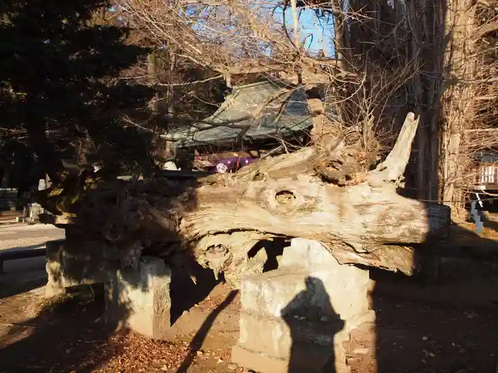 野木神社(栃木県)