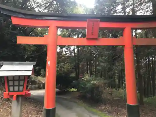 大學稲荷神社の鳥居