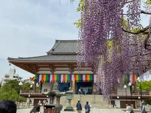 西新井大師総持寺(東京都)