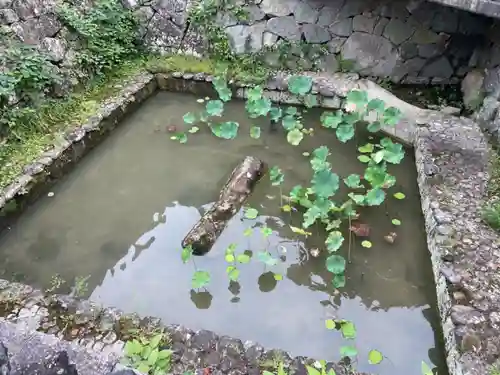 石馬寺の建物その他