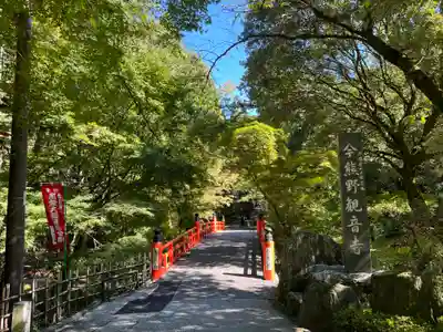 今熊野観音寺(京都府)