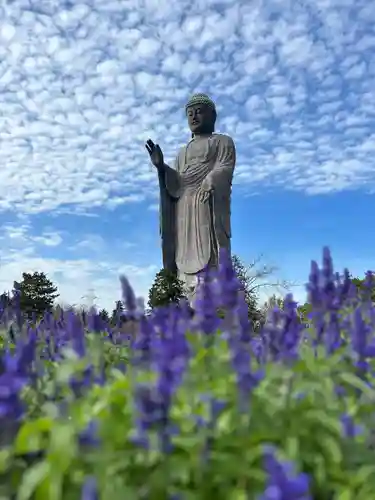 東本願寺本廟 牛久浄苑（牛久大仏）(茨城県)