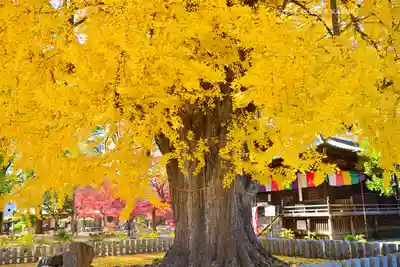 鑁阿寺(栃木県)