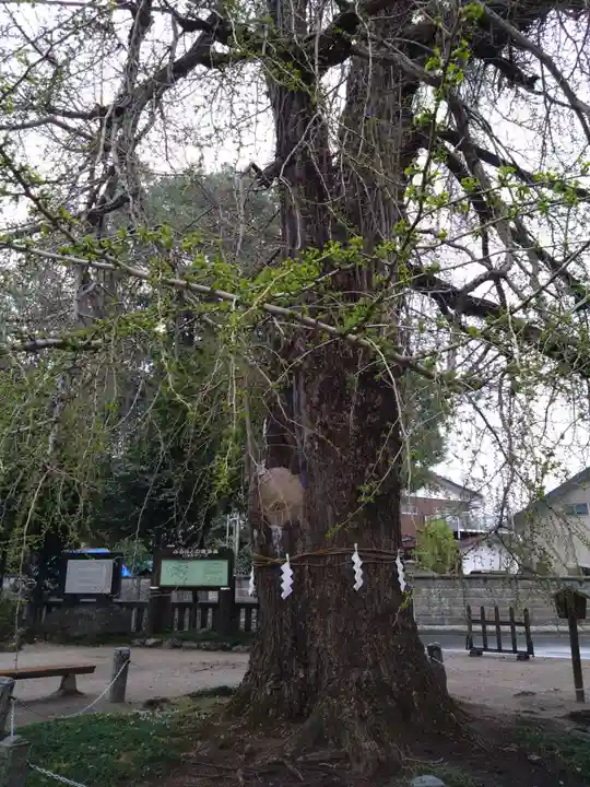 今宮神社(栃木県)