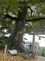 天満宮(大阪府)