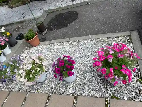 伊達神社(北海道)