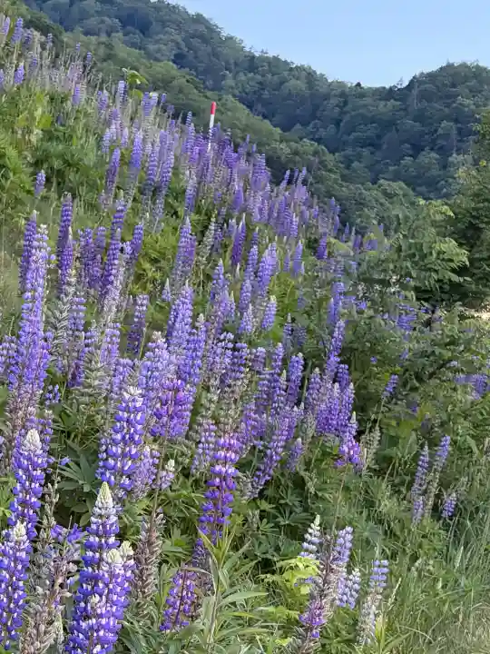定山渓神社(北海道)