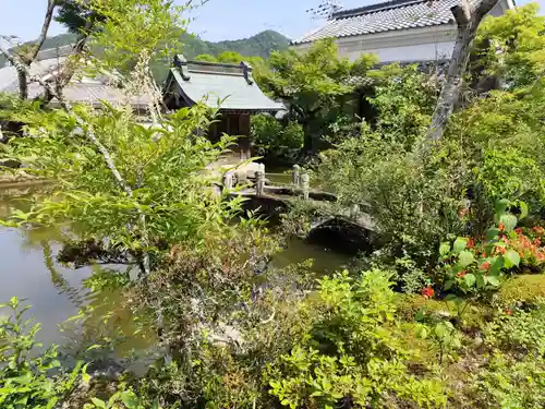 金剛城寺(兵庫県)