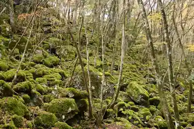 黒松寺(徳島県)