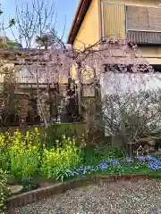 雲光院の庭園