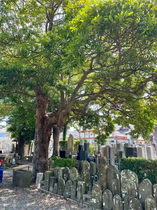 愛染院(千葉県)