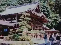 岡寺（龍蓋寺）の本殿