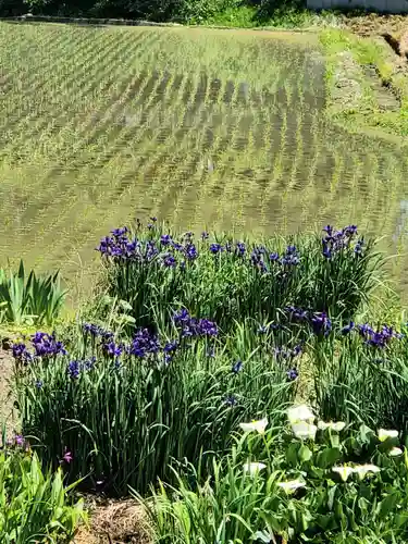 高司神社〜むすびの神の鎮まる社〜(福島県)