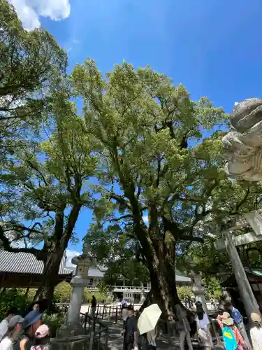太宰府天満宮の{uncategorized: "未分類", other: "その他", undefined: "問題あり", building: "その他建物", grave: "お墓", sacred_gate: "鳥居", guardian: "狛犬", statue: "像", buddha: "仏像", history: "歴史", nature: "自然", garden: "庭園", animal: "動物", pagoda: "塔", temizu: "手水舎", mountain_gate: "山門・神門", sanctuary: "本殿・本堂", subordinate: "末社・摂社", art: "芸術", scenery: "景色", jizo: "地蔵", ema: "絵馬", goshuin: "御朱印", omikuji: "おみくじ", items: "授与品その他", amulet: "お守り", goshuincho: "御朱印帳", eats: "食事", festival: "お祭り", votive_dance: "神楽", shichigosan: "七五三参", wedding: "結婚式", experience: "体験その他", initially: "初詣", around: "周辺", anti_infection: "感染症対策"}