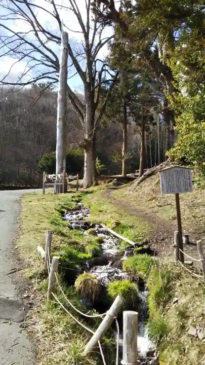 諏訪大社上社前宮の自然