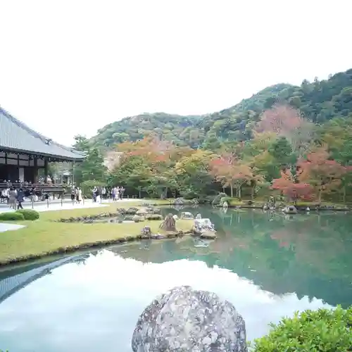 天龍寺の景色