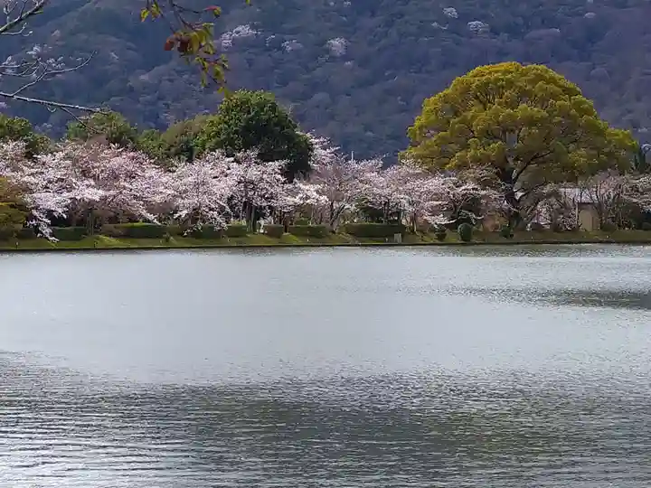 大覚寺(京都府)