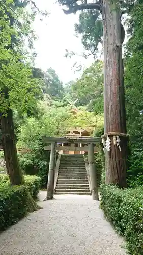 高鴨神社の鳥居