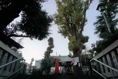 幡ケ谷氷川神社のその他建物