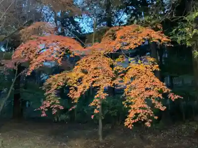 東漸寺(千葉県)