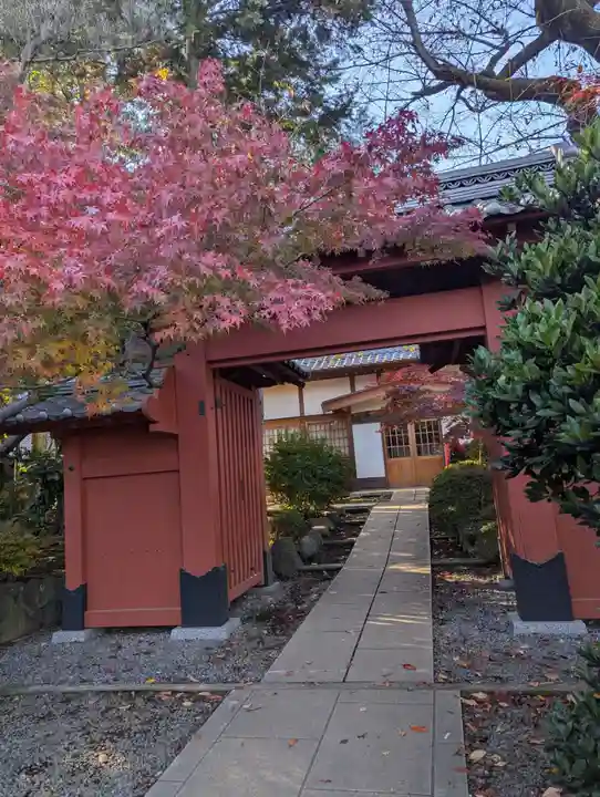 豪徳寺(東京都)